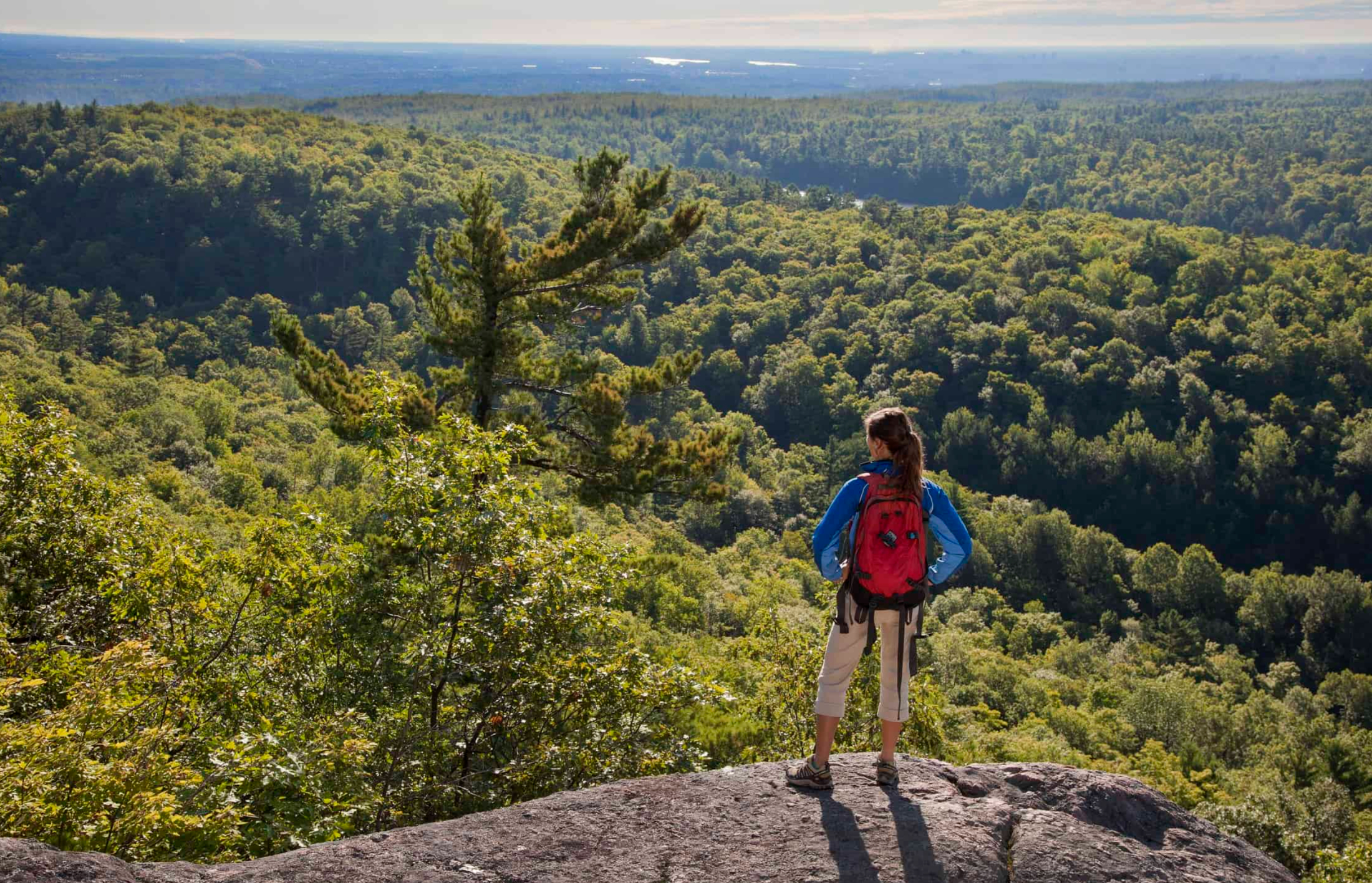 Best Hiking Trails Within 30 Minutes of Ottawa: Top Scenic Spots to Explore (2026 Guide)