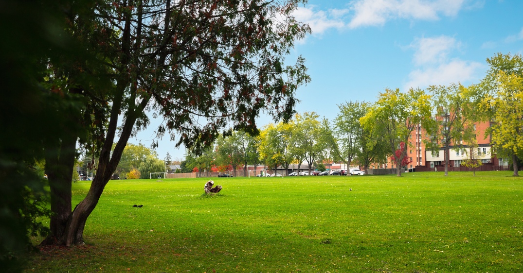 🏘️ Parkwood Hills: Ottawa’s Most Underrated Suburban Community?