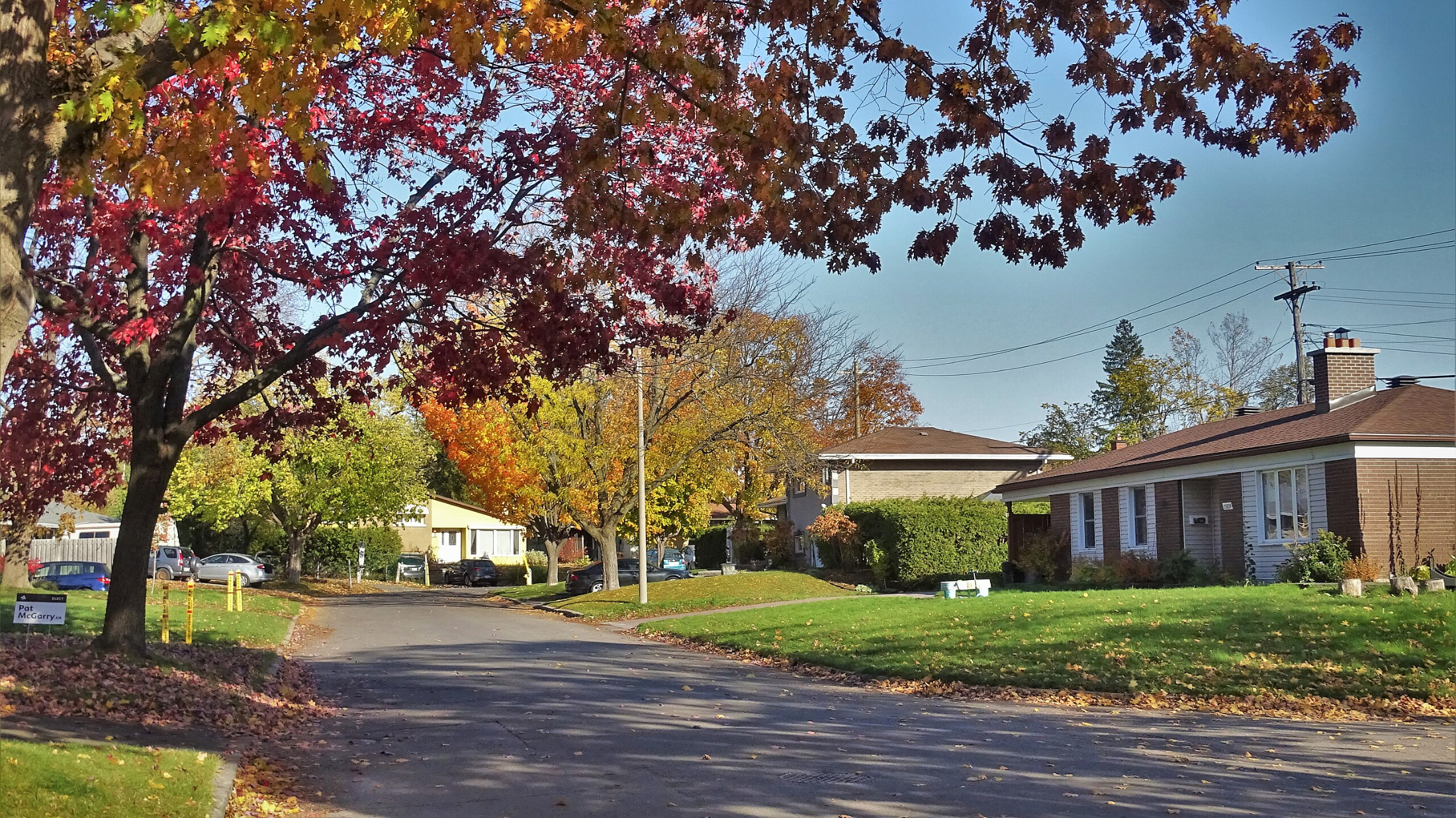 Living in Queensway Terrace North: Quiet, Central, and Walkable – Between Westboro and Lincoln Fields