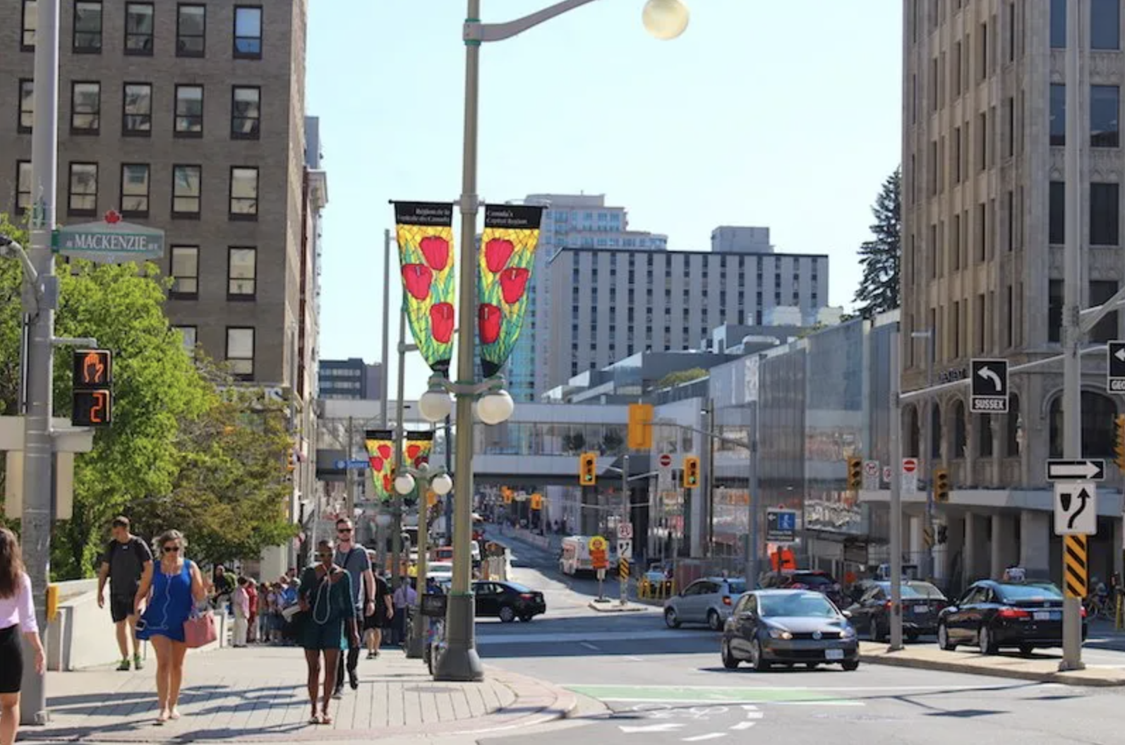 Is the Downtown Ottawa Landscape Changing Due to Workforce Adjustment (WFA)? (2026 Insight)